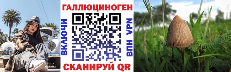 Псилоцибиновые грибы Psilocybe  omg   Светогорск 