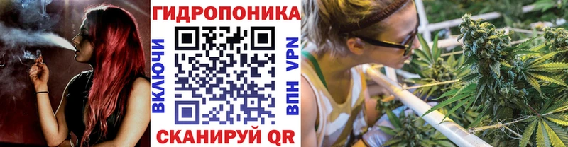 дарк нет Telegram blacksprut ONION Светогорск Каннабис конопля